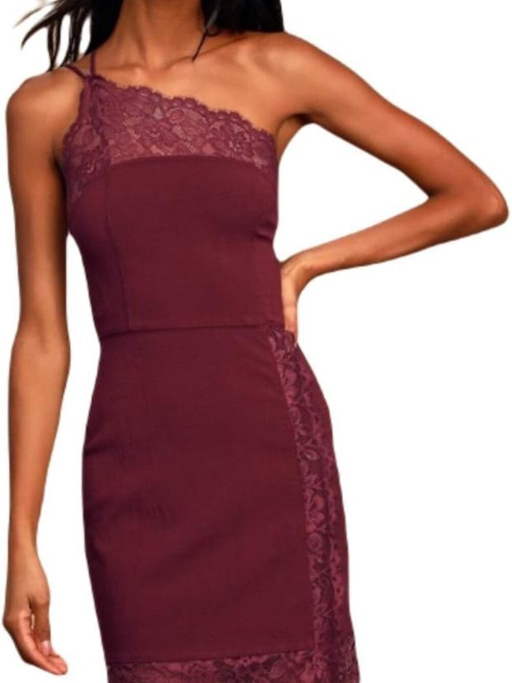 Free People Dress Premonitions Bodycon Bloom Wine Stretch Lace Size Small